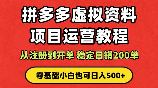 拼多多开店运营课程： 蓝海变现玩法，轻松实现睡后收入 零基础小白也可…-大表哥网创