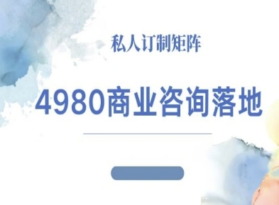 4980商业咨询师落地课程-ip运营高客单教程-大表哥网创