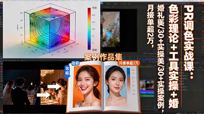 PR调色实战课：色彩理论+工具实操+婚礼医美/30+实操案例，月接单超2万-大表哥网创