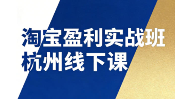 淘宝盈利实战班杭州线下课12月26-28日(音频+字幕)，帮你掌握SOP流程+12门核心技术-大表哥网创