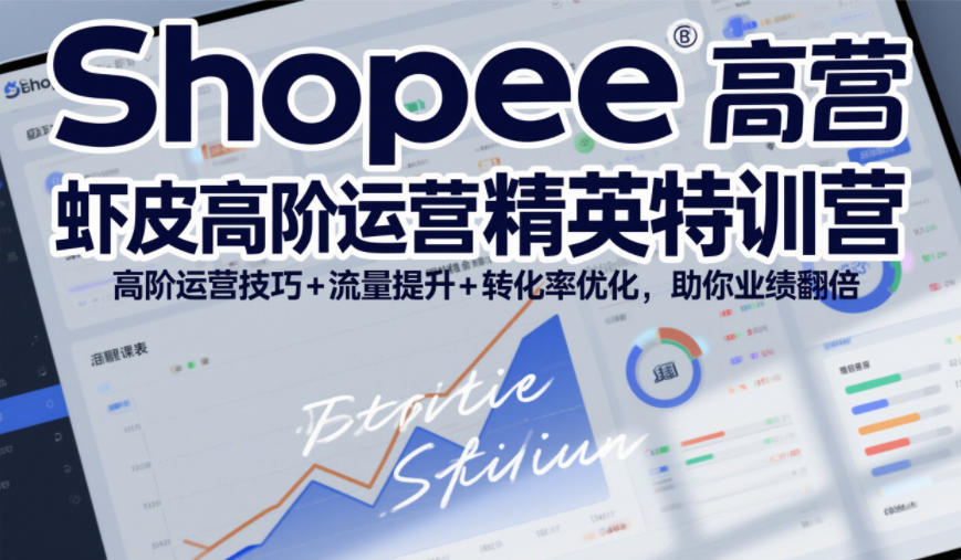 Shopee虾皮高阶运营精英特训营，高阶运营技巧+流量提升+转化率优化，助你业绩翻倍-大表哥网创