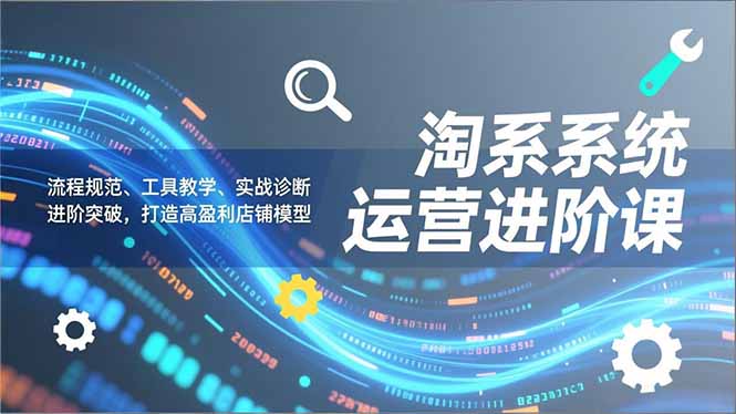淘系系统运营进阶课2.0，流程规范、工具教学、实战诊断，进阶突破，打造高盈利店铺模型-大表哥网创