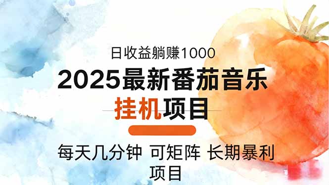 2025年最新番茄音乐人挂机项目，每天几分钟，月入1000＋，可矩阵，一台…-大表哥网创
