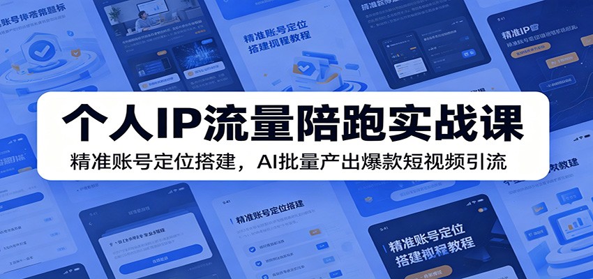 个人IP流量陪跑实战课：精准账号定位搭建，AI批量产出爆款短视频引流-大表哥网创