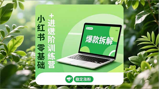 小红书零基础+高阶训练营：安全养号、爆款拆解、长效运营，实现稳定涨粉与变现-大表哥网创