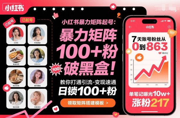 小红书暴力矩阵起号，教你打通引流-变现速通，日锁100+粉，破流量黑盒-大表哥网创