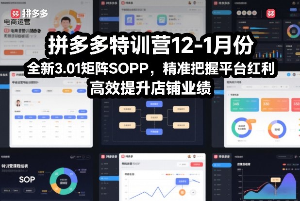 拼多多特训营12-1月份，全新3.01矩阵Sop，精准把握平台红利，高效提升店铺业绩-大表哥网创