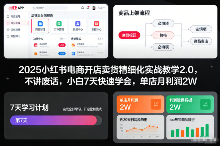 2025小红书电商开店卖货精细化实战教学2.0，不讲废话，小白7天快速学会，单店月利润2W-大表哥网创