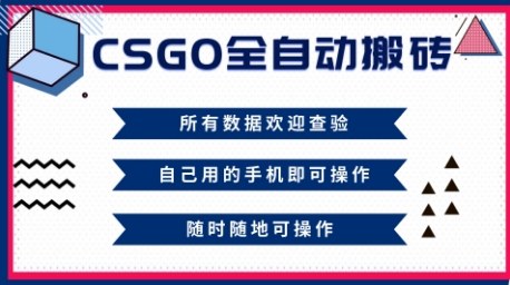 CSGO全自动搬砖，年底钱回家好项目，当天可拿到结果，新手小白轻松月入1W+【揭秘】-大表哥网创