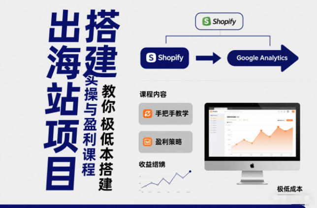 小淘出海站项目，搭建实操与盈利课程，手把手教你用极低成本搭建-大表哥网创