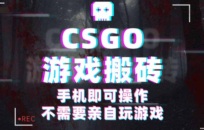 CSGO游戏挂机捡漏，单日扫货500+，年底小高峰上车可吃肉，手机即可操作…-大表哥网创