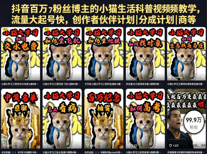 抖音百万粉丝博主的小猫生活科普视频教学，流量大起号快，创作者伙伴计划|分成计划|商单|收徒等-大表哥网创