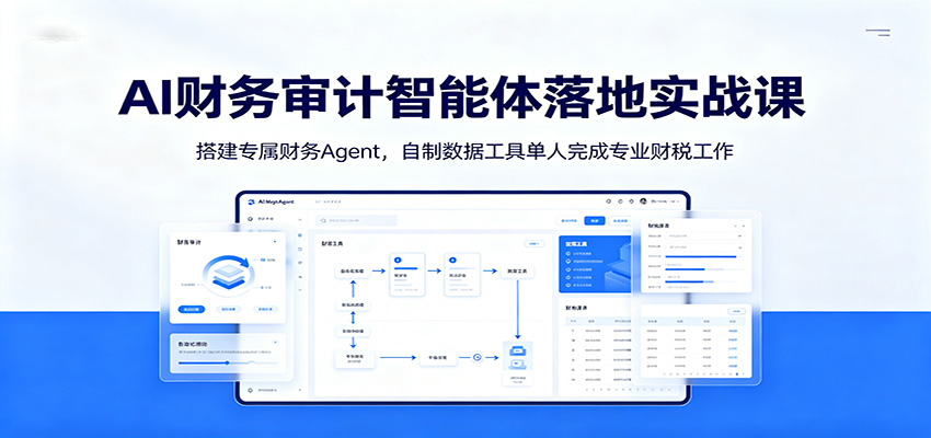 AI财务审计智能体落地实战课：搭建专属财务Agent，自制数据工具单人完成专业财税工作-大表哥网创