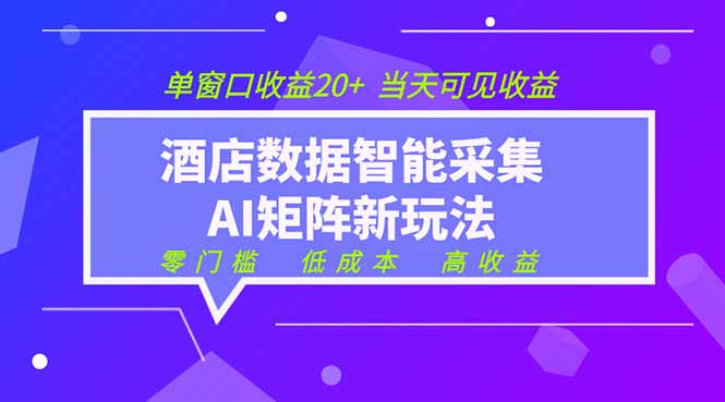 2026酒店数据采集ai智能矩阵新风口 低成本 高收益 当天见收益 单窗口20+-大表哥网创