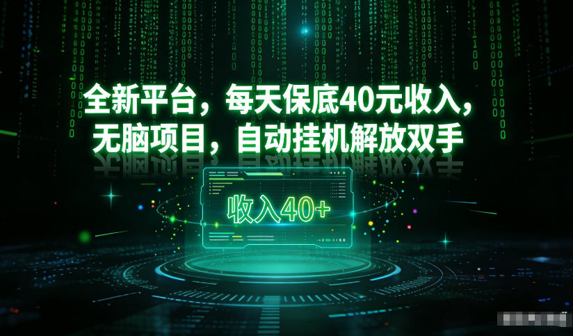 最新看广平台，每天保底30-4米，无脑项目，自动挂G解放双手【揭秘】-大表哥网创