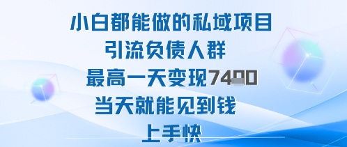 2025年小白都能做的私域项目引流负债人群最高一天变现1k+高变现难度低当天就能见到钱上手快-大表哥网创