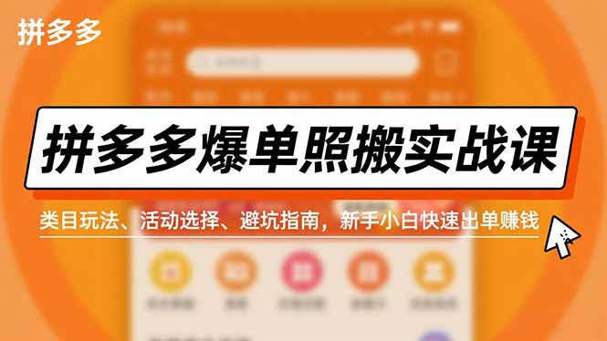 拼多多爆单照搬实战课，类目玩法、活动选择、避坑指南，新手小白快速出单赚钱-大表哥网创