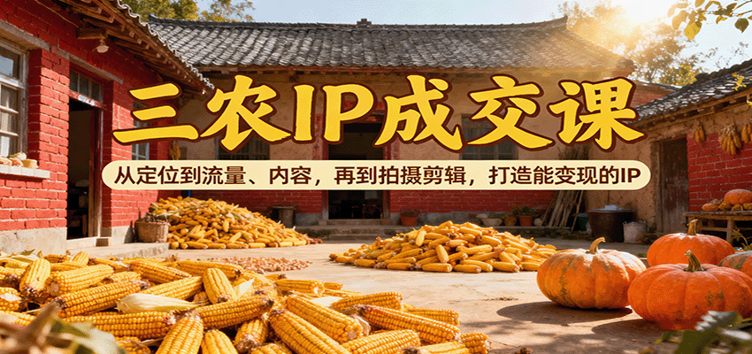 三农IP成交课：从定位到流量、内容，再到拍摄剪辑，打造能变现的IP-大表哥网创