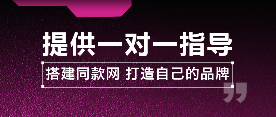 加盟大表哥网创，搭建同款项目资源站，实现日入2000+-大表哥网创