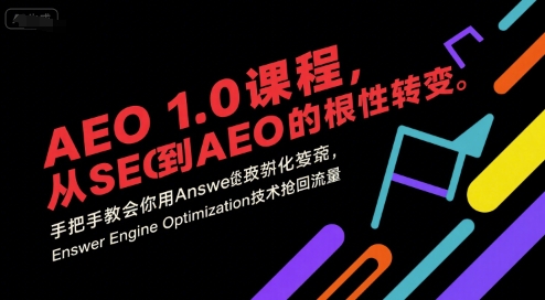 AEO 1.0 课程，从SEO到AE0的基命性转变，手把手教会你用AnswerEngineOptimization技术抢回流量(更新)-大表哥网创