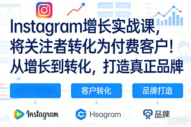Instagram增长实战课，将关注者转化为付费客户！从增长到转化，打造真正品牌(双语字幕)-大表哥网创