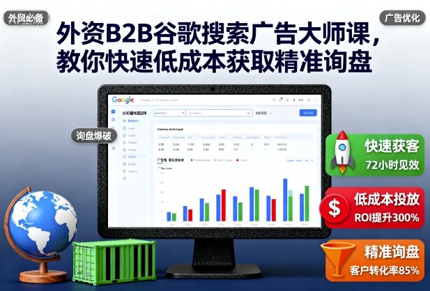 外资B2B谷歌搜索广告大师课，教你快速低成本获取精准询盘-大表哥网创