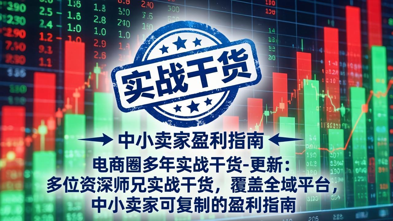 电商圈多年实战干货-更新5月20：多位资深师兄实战干货/覆盖全域平台，中小卖家可复制的盈利指南-大表哥网创