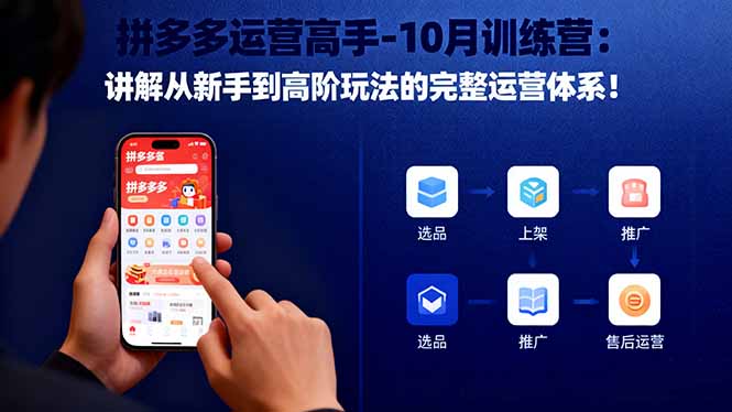 拼多多运营高手-10月训练营：讲解从新手到高阶玩法的完整运营体系！-大表哥网创
