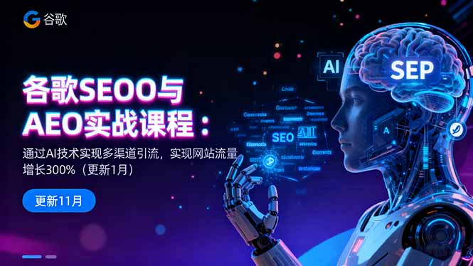 谷歌SEO与AEO实战课程：通过AI技术实现多渠道引流，实现网站流量增长300%-大表哥网创