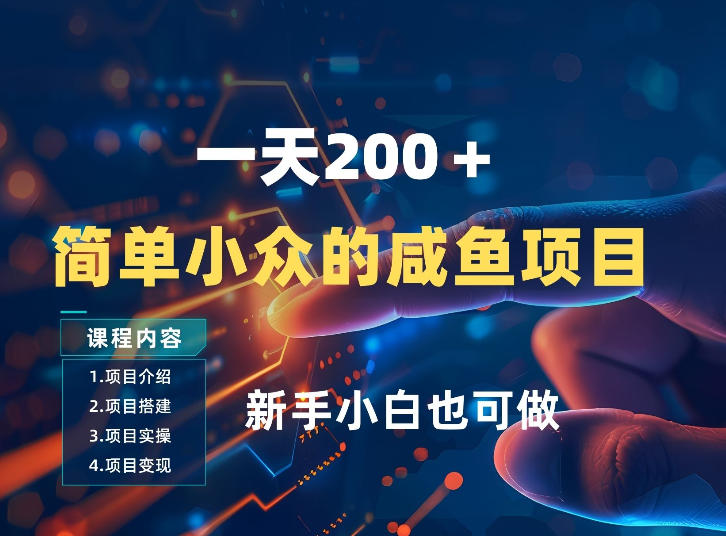 一天收入2张，一个简单小众的咸鱼项目，0门槛小白也能做-大表哥网创