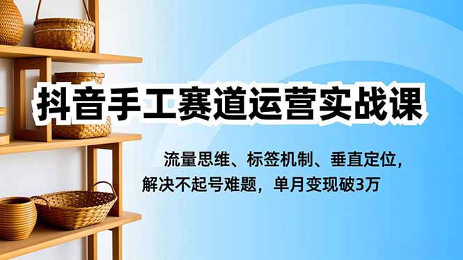 抖音手工赛道运营实战课，流量思维、标签机制、垂直定位，解决不起号难题，单月变现破3万-大表哥网创