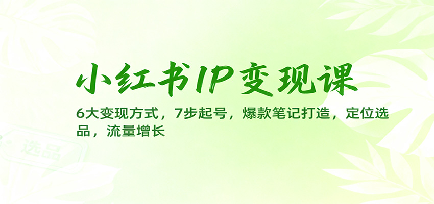 小红书IP变现课：6大变现方式，7步起号，爆款笔记打造，定位选品，流量增长-大表哥网创