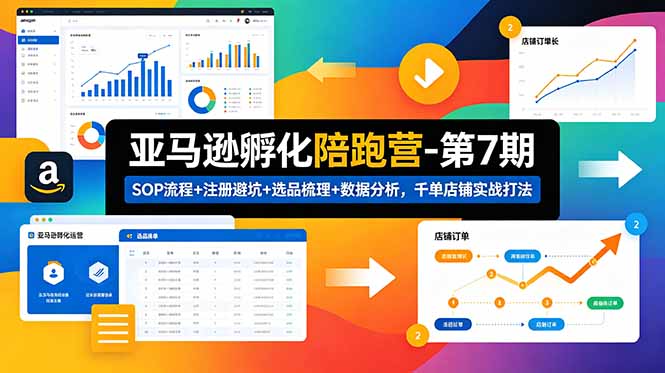亚马逊孵化陪跑营-第7期：SOP流程+注册避坑+选品梳理+数据分析，千单店铺实战打法-大表哥网创