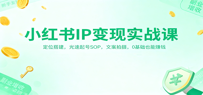小红书IP变现实战课：定位搭建，光速起号SOP，文案拍摄，0基础也能赚钱-大表哥网创