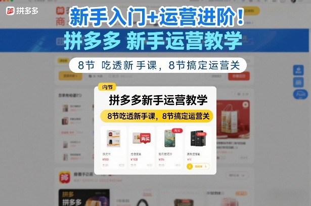 新手入门+运营进阶！拼多多新手运营教学，8节吃透新手课，8节搞定运营关-大表哥网创