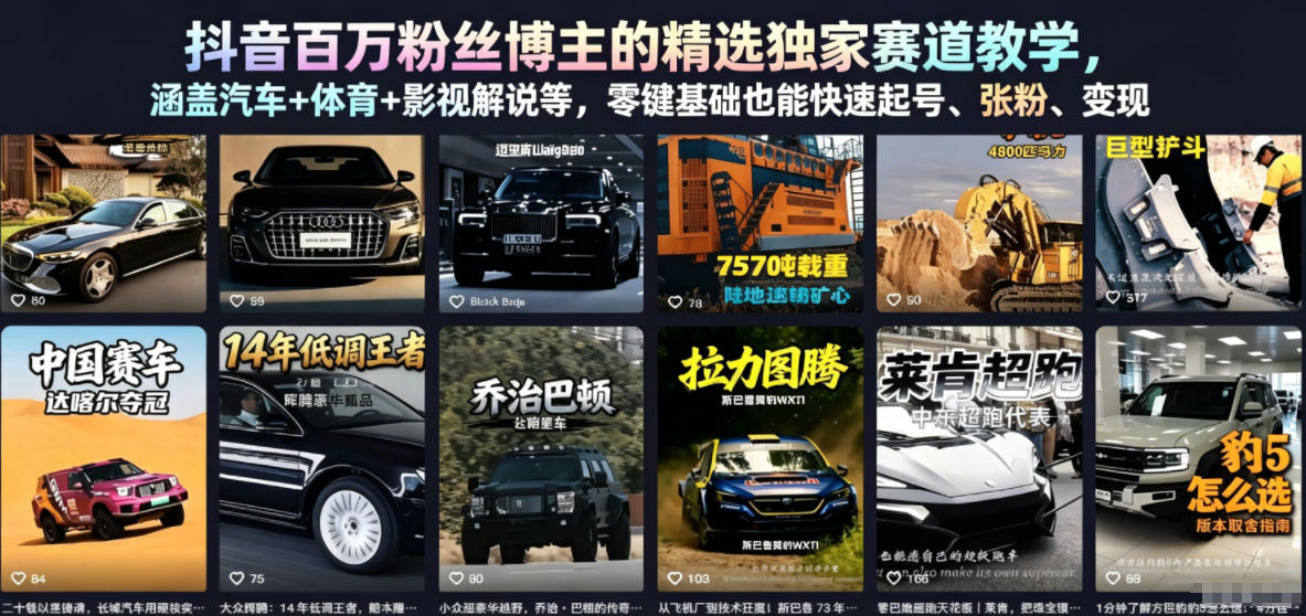 抖音百万粉丝博主的精选独家赛道教学，涵盖汽车+体育+影视解说等，零基础也能快速起号、涨粉、变现-大表哥网创