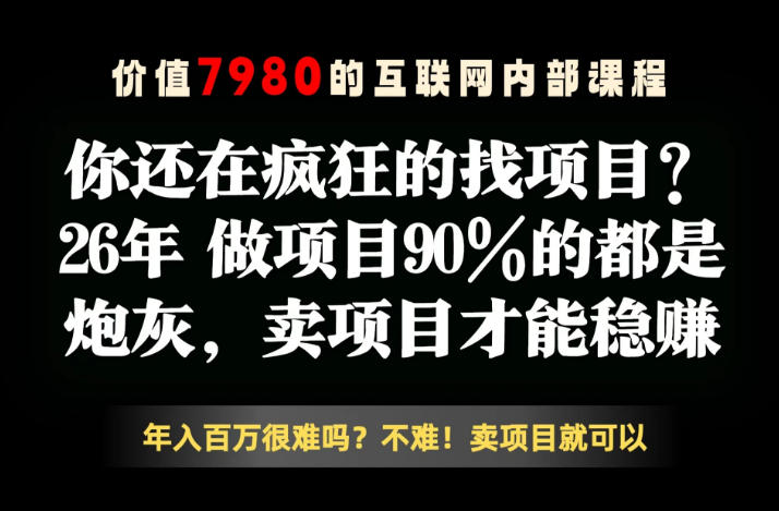 26年请不要疯狂的找项目了，卖项目远比你想象的暴利，你也可以月入10W+【揭秘】-大表哥网创