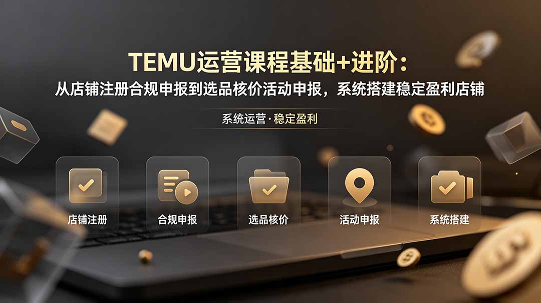 TEMU运营课程(基础+进阶-大表哥网创