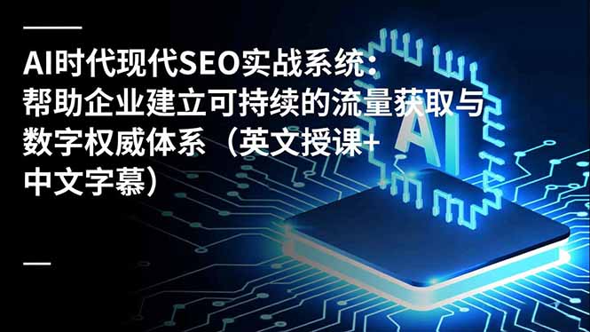 AI时代现代SEO实战系统：帮助企业建立可持续的流量获取与数字权威体系(英文授课+中文字幕-大表哥网创