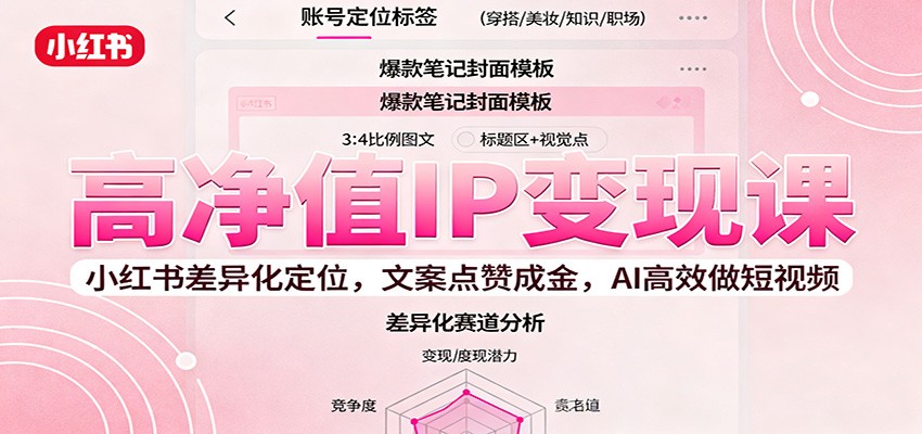高净值IP变现课：小红书差异化定位，文案点赞成金， AI高效做短视频-大表哥网创
