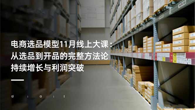 电商选品模型11月线上大课：从选品到开品的完整方法论 持续增长与利润突破-大表哥网创