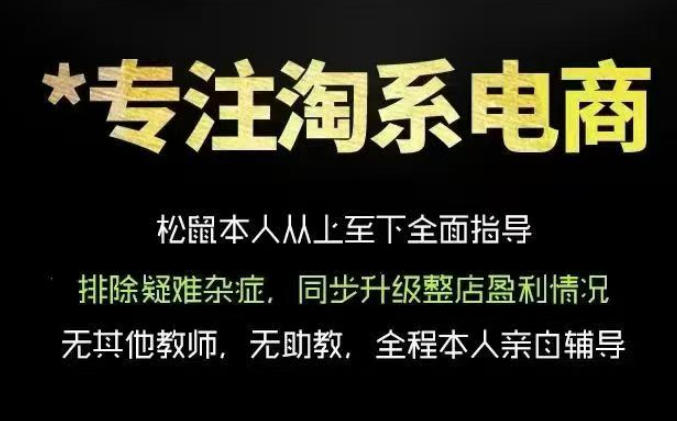 松鼠会电商VIP课程，从基础布局到高阶优化，助你掌握淘宝运营逻辑，提升店铺流量与转化-大表哥网创