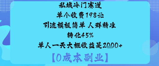 私域冷门赛道:单个收费198米引流模板简单人群精准转化45%单人一天大概收益是1k+-大表哥网创