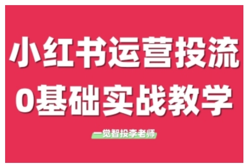 小红书运营投流，小红书广告投放从0到1的实战课，学完即可开始投放(更新26年)-大表哥网创