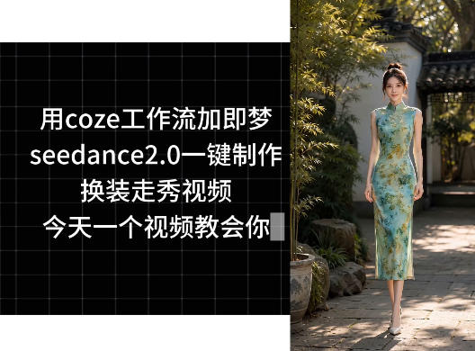 用coze工作流加即梦seedance2.0一键制作换装走秀视频，今天一个视频教会你-大表哥网创
