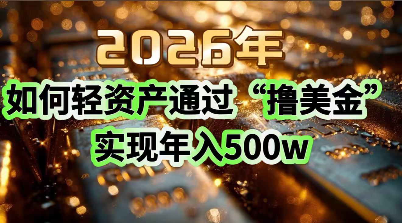 2026年如何轻资产通过“撸美金”实现年入500w-大表哥网创