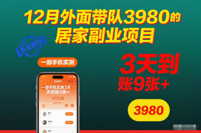 12月外面带队3980的居家副业项目，一部手机实测3天到账9张+，首发教程【揭秘】-大表哥网创