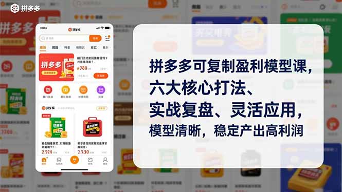 拼多多可复制盈利模型课，六大核心打法、实战复盘、灵活应用，模型清晰，稳定产出高利润-大表哥网创