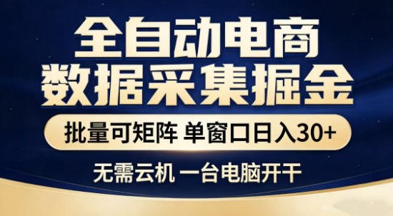 独家电商数据全自动采集项目,批量可矩阵,单窗口轻松日入3张+【揭秘】-大表哥网创