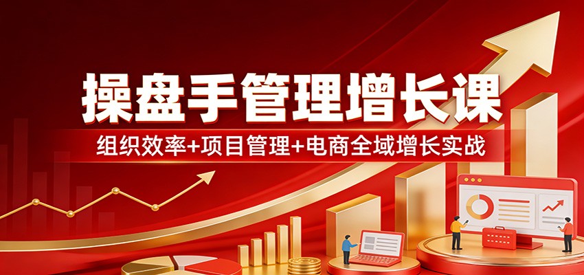 操盘手管理增长课：组织效率+项目管理+电商全域增长实战-大表哥网创